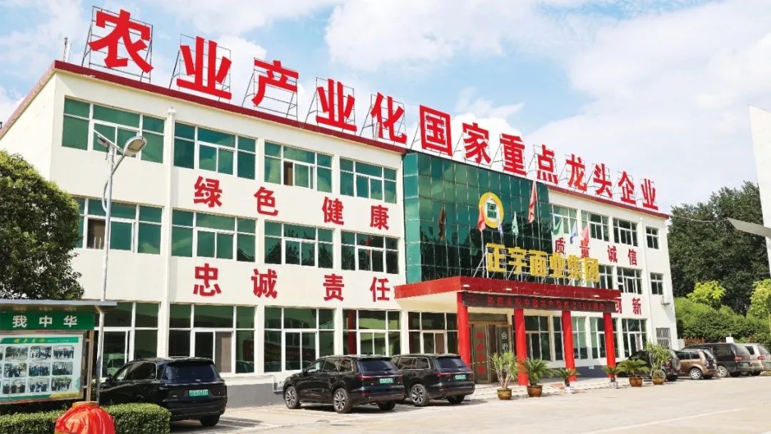 喜報！安徽正宇面業(yè)入選《...